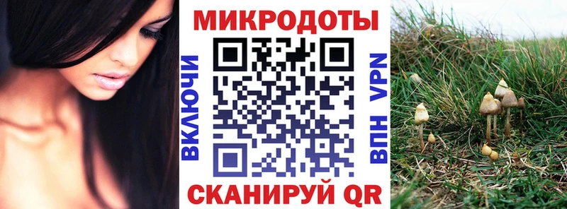 mega рабочий сайт  купить  цена  Нефтекумск  Галлюциногенные грибы прущие грибы 